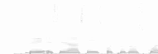 White-mantled Barbet - ML256644