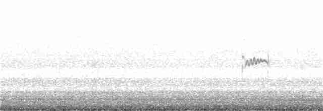 オバシギ属（トウネンの種） - ML256651371