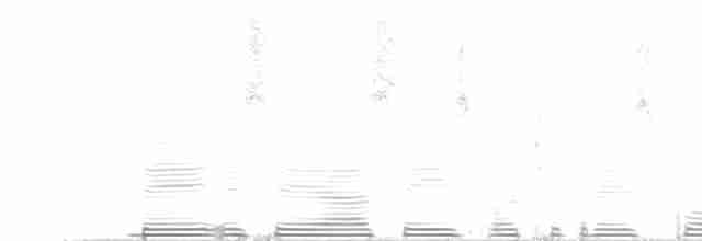 White-mantled Barbet - ML256654