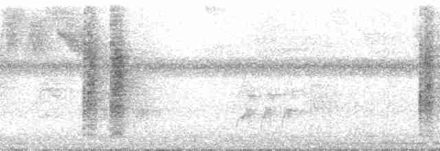 svartkronesmett (castaneus gr.) - ML25666