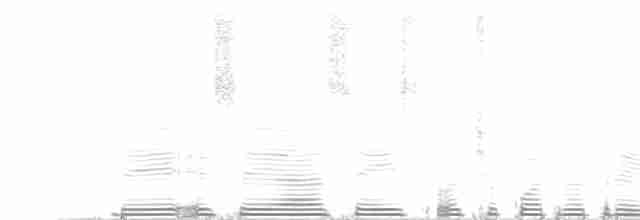 White-mantled Barbet - ML256663