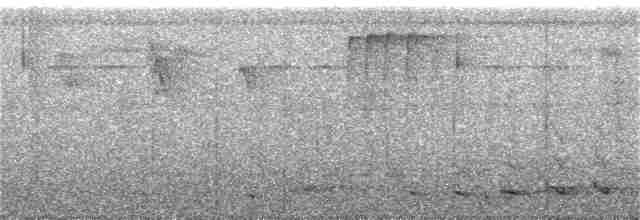 Turuncu Göğüslü Trogon [dulitensis grubu] - ML256707831