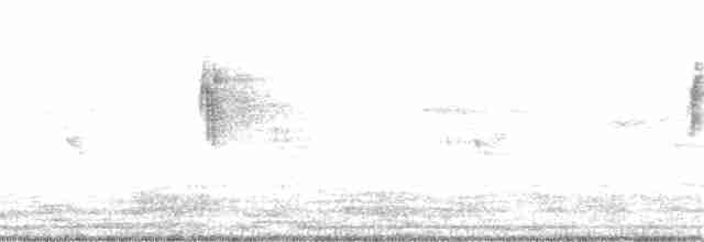 オジロツグミ - ML256710641