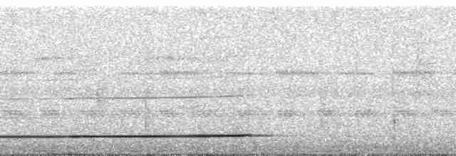 Gray-legged Tinamou - ML256714
