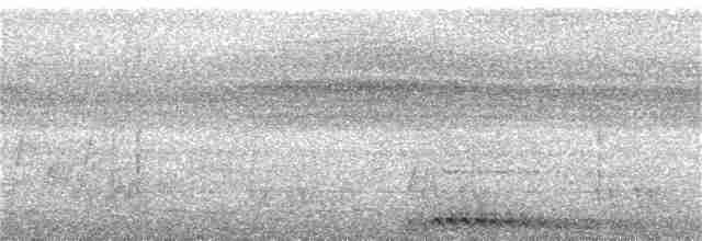 Кораловоклювая воронья кукушка - ML256715321