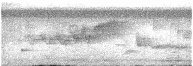 Cerulean Warbler - ML256801551