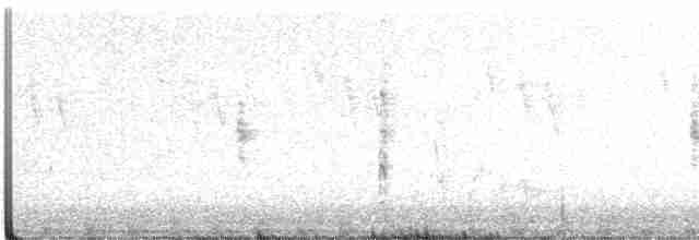 Spotless Crake - ML256861171