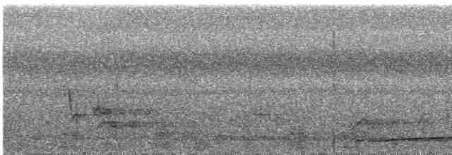 korallnebbgjøk - ML256940231
