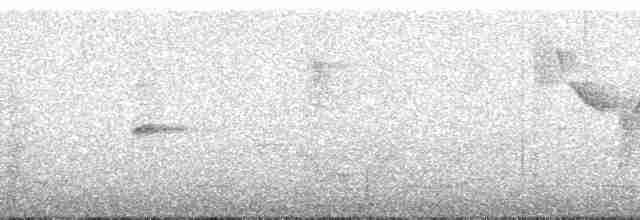 Dusky-headed Brushfinch - ML256973