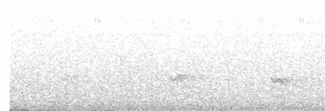 Black-eared Catbird - ML257054121