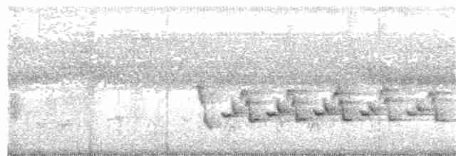 Каролинский крапивник - ML257098501