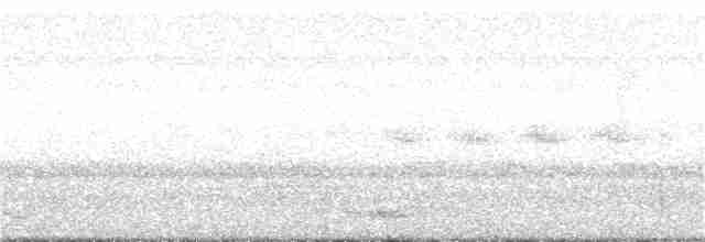 Puff-throated Babbler - ML257160501