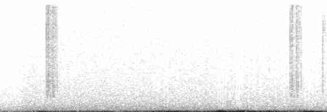 Колібрі-короткодзьоб пурпуровий - ML257231
