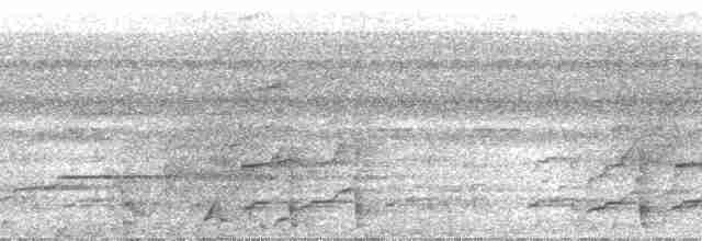 Сероголовая чачалака - ML25738
