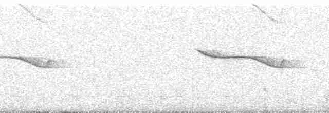 Band-winged Nightjar (Rufous-naped) - ML257444