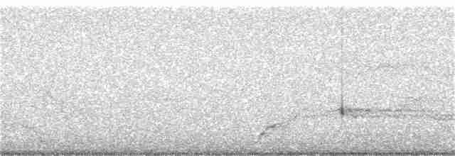 Черноклювая гагара - ML257527251
