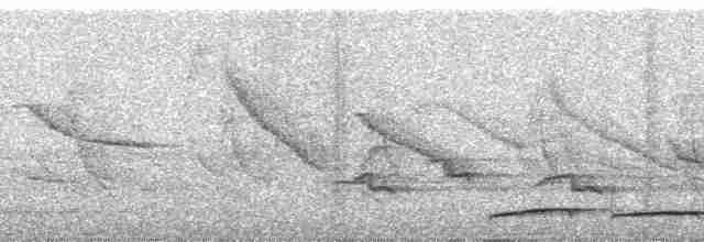 Andennachtschwalbe - ML257536