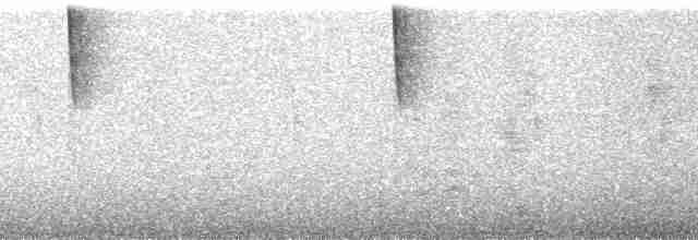 Colibri flavescent - ML257570