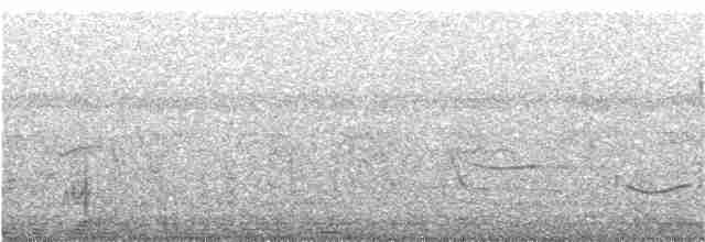 Gray-bellied Cuckoo - ML257600531