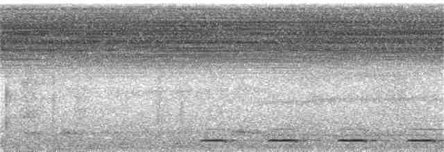 madagaskarugle (rutilus) - ML257654141