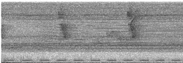 White-mantled Barbet - ML257676051