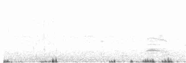 Pantanal/Magellanic Snipe - ML257695921