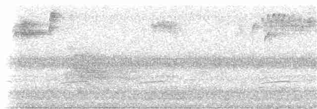 Common Yellowthroat - ML257712911