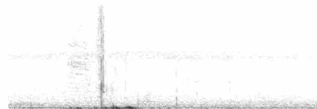 Crested Bobwhite - ML257736691