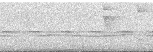 Пестрогрудый тираннчик - ML257739