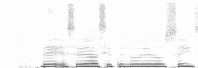 Пестрогрудый тираннчик - ML257741