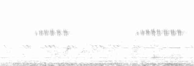 Tawny-bellied Babbler - ML257775491
