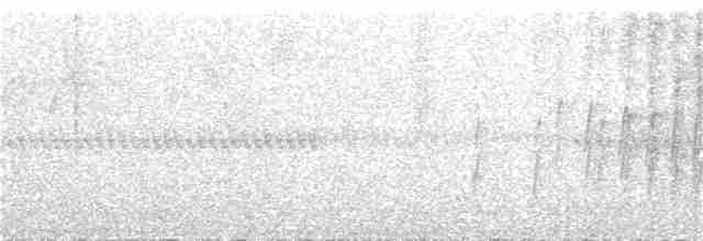 Kara Kulaklı Hemispingus - ML257861871