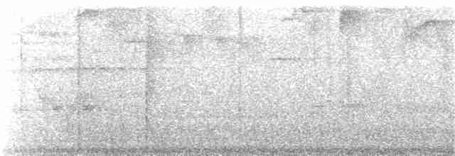 Strichelkopf-Ameisenfänger - ML25792681