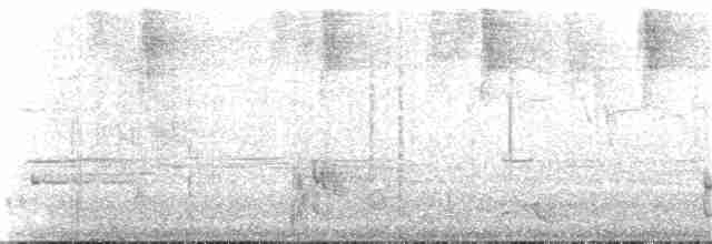 Plain-tailed Wren - ML25792711