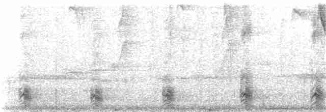 Андский туканет (albivitta/phaeolaemus) - ML25792781