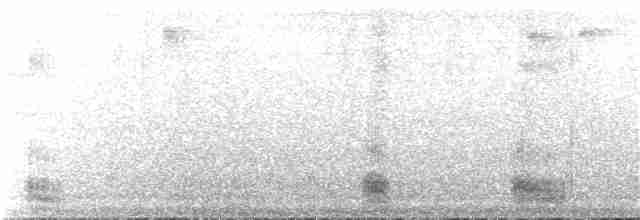 Андский туканет (albivitta/phaeolaemus) - ML25794131