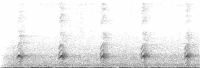 Андский туканет (albivitta/phaeolaemus) - ML25794951