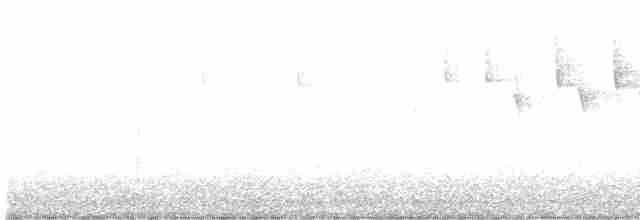 Tennessee Warbler - ML258004251