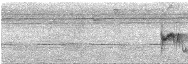 Kara Gagalı Sinekkapan - ML258057121
