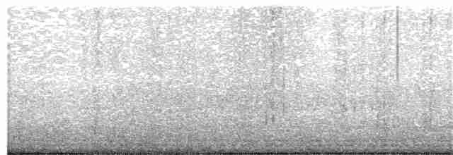 Küt Kuyruklu Korsanmartı - ML258113081