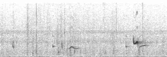 Troglodyte à poitrine grise - ML25813