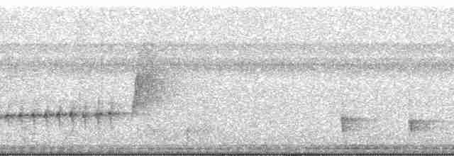 spydknottsmett (rufiventris gr.) - ML258137