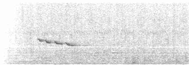 hvitbrynkrattskvett (leucophrys gr.) - ML258231501