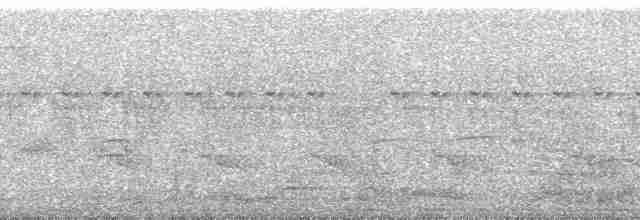 Тиранка чорнохвоста - ML258274