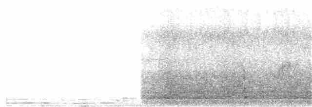 Long-tailed Meadowlark - ML258278351