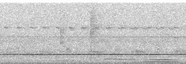 holub šedohlavý - ML258304