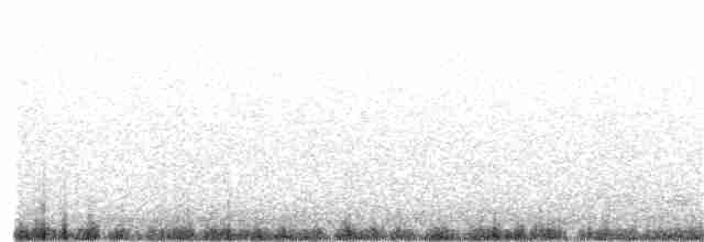 Austral-Schlangenhalsvogel - ML258427381