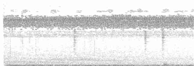 Troglodyte des marais - ML258476141