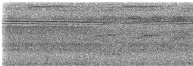 Plain-throated Antwren - ML25850761