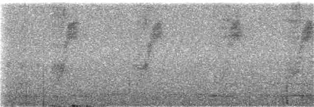 Conirostre géant - ML25855271